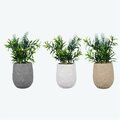 Youngs Ceramic Planter with Artificial, Assorted Color - 3 Piece 72343